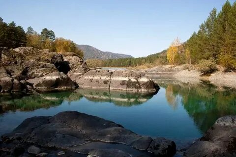 Семеновка алтайский край третьяковский