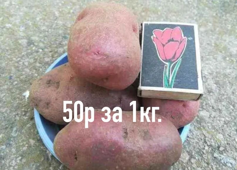 Картофель легенда описание сорта