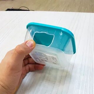 Влажная камера для эублефара