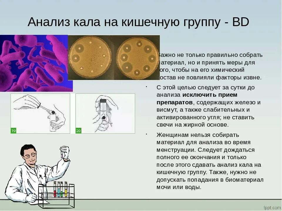 Как правильно сдать бак. Алгоритм сбора кала на бактериальное исследование. Взятие кала на анализ. Анализ кала на кишечную группу. Исследование кала анализ.