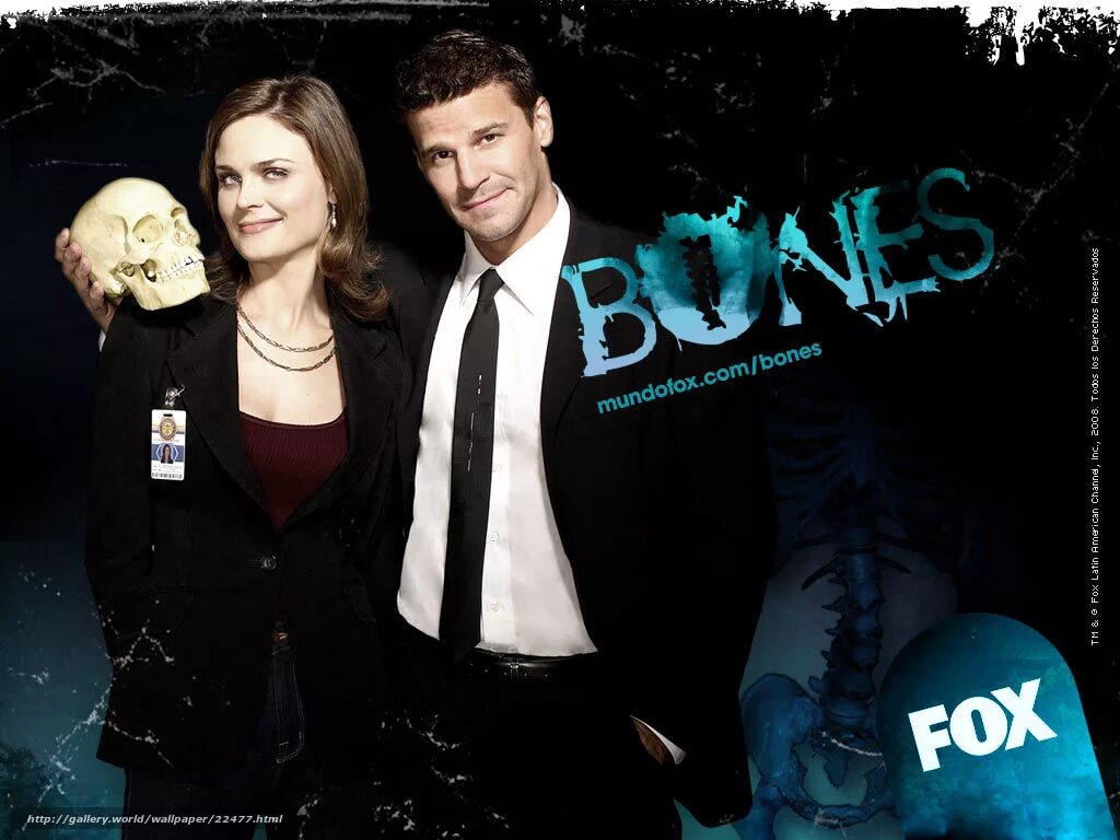 Bones series