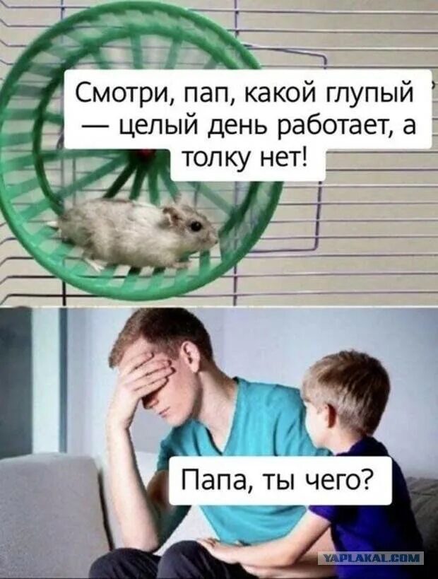 Глупый целый