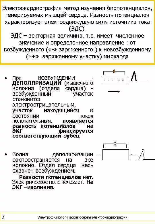 Электрокардиография 1 из важных методов исследования работы