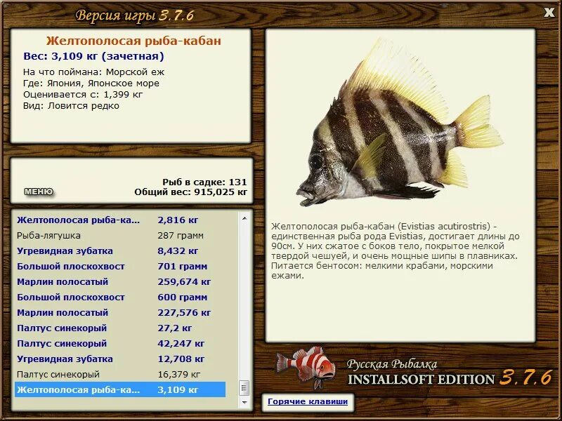 мужчина рыбы кабан. гороскоп рыба свинья. рыба кабан. рыба кабан продолжительность жизни. мужчина рыбы кабан.