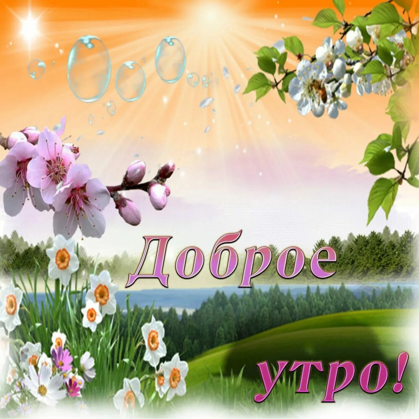С наступающим днем доброе утро. Открытки с добрым утром красивые. Открытки доброе утро хорошего дня. Красивые поздравления с добрым утром природа. Открытка с добрым утром хорошего дня.