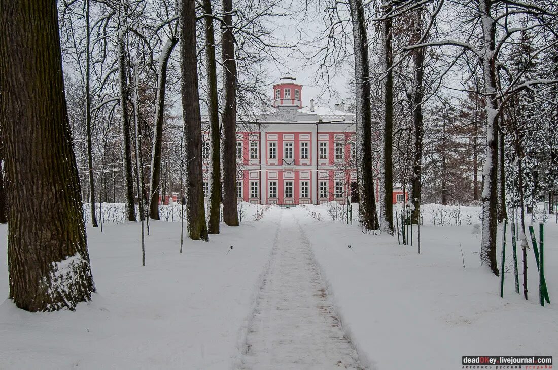 индекс большие вяземы московская область