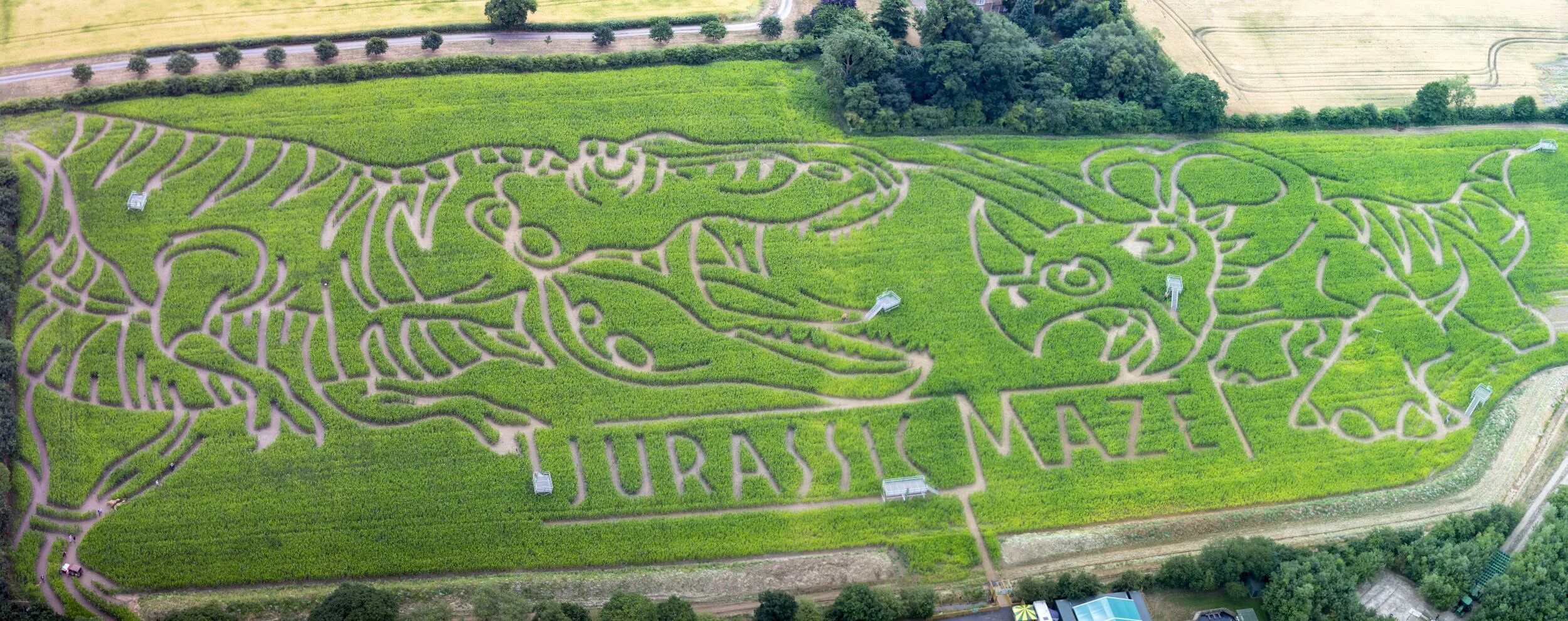 Life found a way. Йоркский Лабиринт. Кукурузный Лабиринт в Бельгии. Tom Pearcy York Maze. Find a way фото.