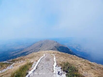 Mount path