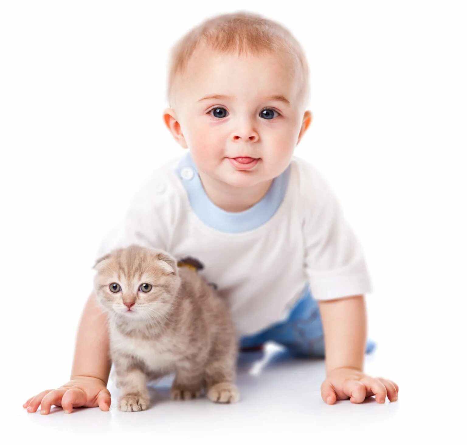 Котенок играет малыша. Животные на белом фоне для детей. Кошка для детей. Котёнок-ребёнок. Домашние животные для детей.