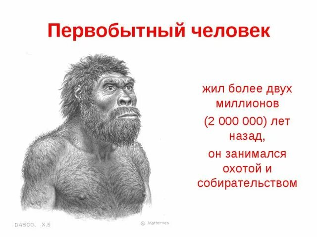 Первобытно определение. История первобытных людей. Древнейшие люди 5 класс. История древние люди. Сообщение о первобытных людях.