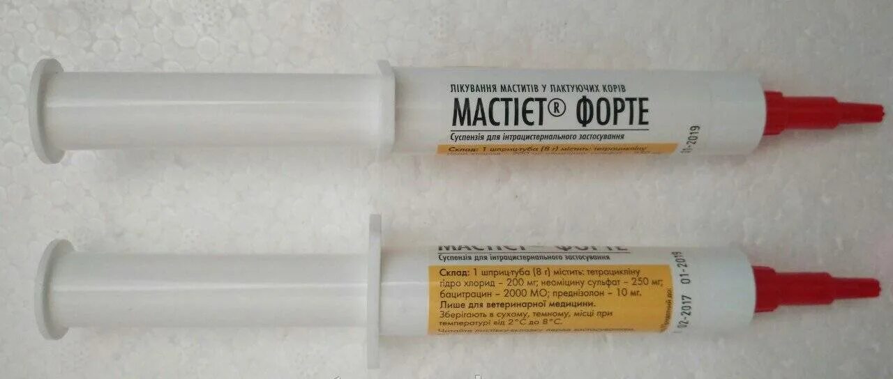 Мастиет форте шприц для собак. Мастиет форте Forte.. Мастиет форте мазь. Мастиет-форте шприц, 20 шпр. Мастиет форте купить