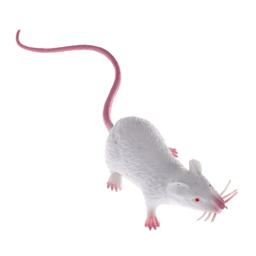 Искусственные мыши. Мышь игрушка реалистичная. Крыса игрушка реалистичная. Искусственная мышь. Крыса пластиковая игрушка.