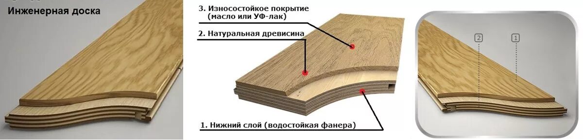 Паркетная доска отличие. Состав паркетной и инженерной доски. Инженерная доска состав. Разница паркетной доски и инженерной доски. Структура паркетной доски.