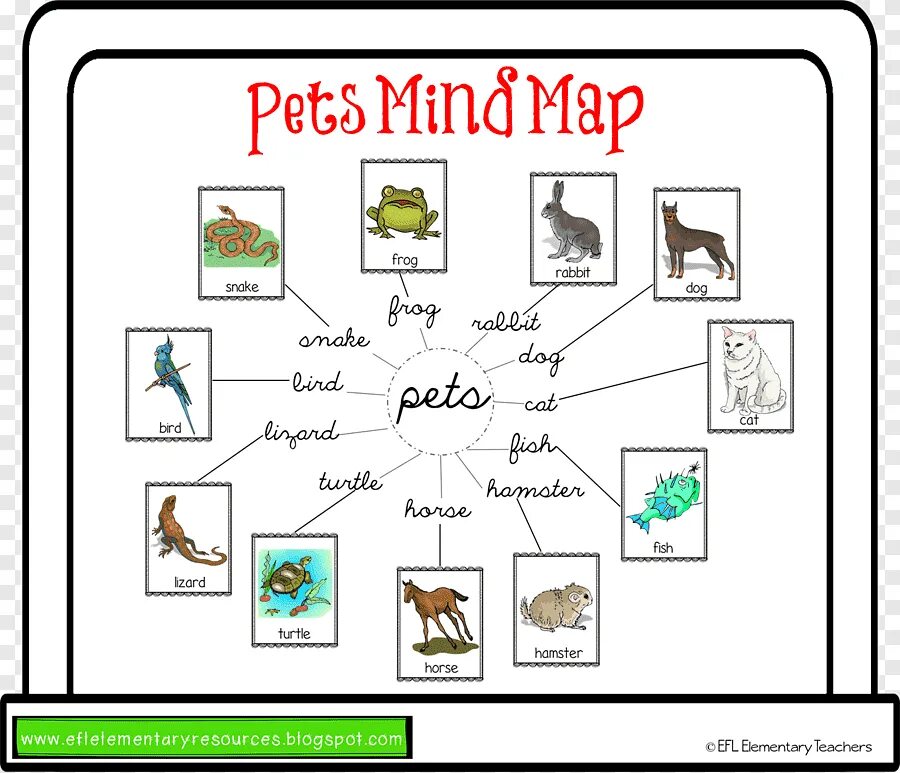 Pets Ментальная карта. Интеллект карта домашние животные. Mind Map про животных на английском. Ментальная карта домашние животные на английском. Pets vocabulary