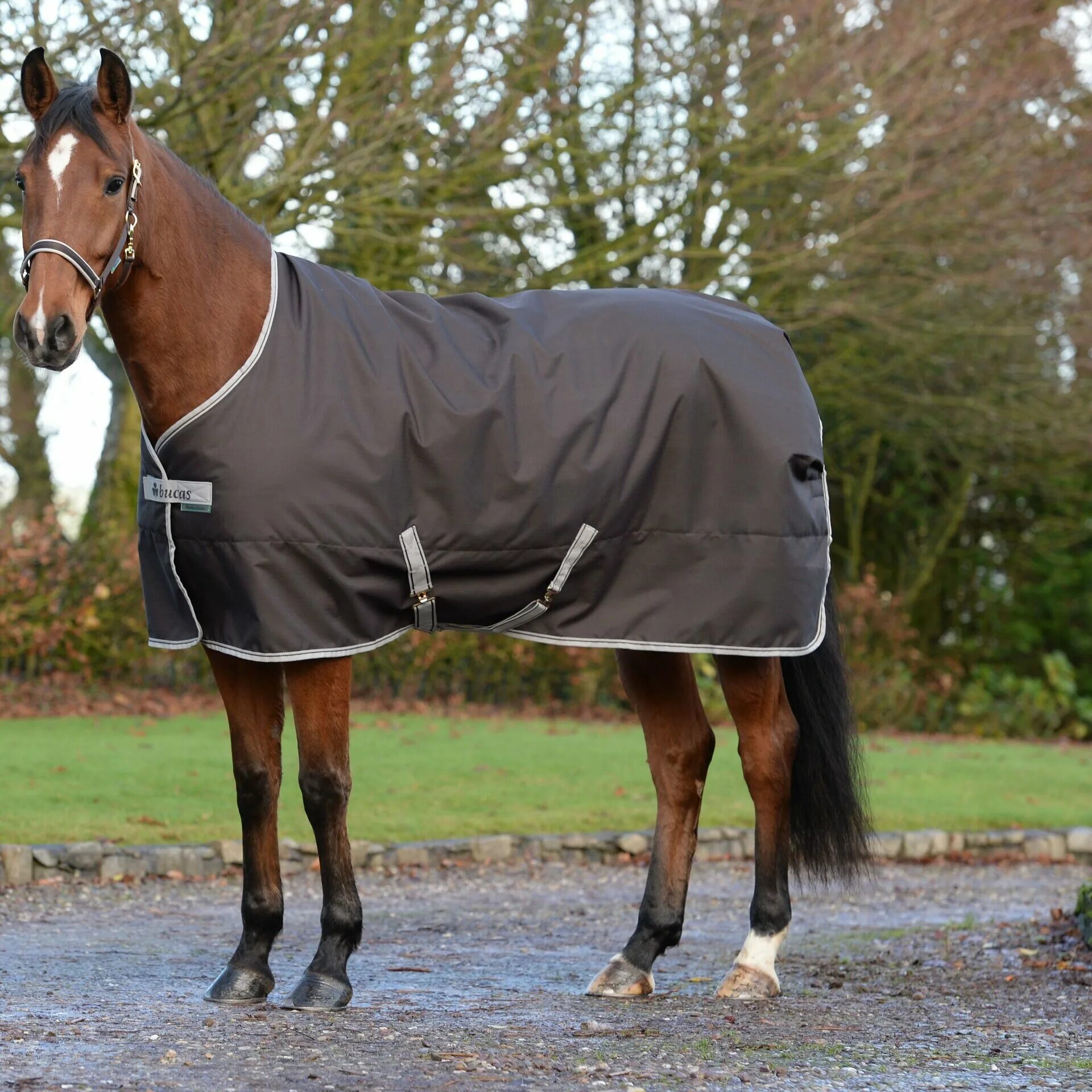 Лошадки с одеждой. Охлаждающая попона. Москитная попона зебра. Horse wear. Одежда для лошадей.