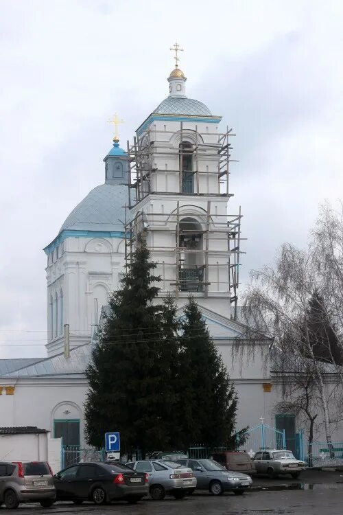 Храм Успения в Касторном. Церковь Успения Пресвятой Богородицы Касторное. Касторное Касторенский район Курская область. Касторное Церковь Успенская Церковь.