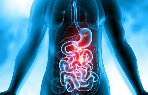 Gastrointestinal