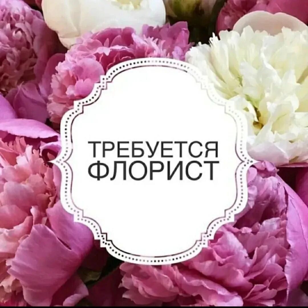 Флористика женщина. Ищем флориста. Ищем флориста в команду. Авито работа флорист. Авито работа флорист.