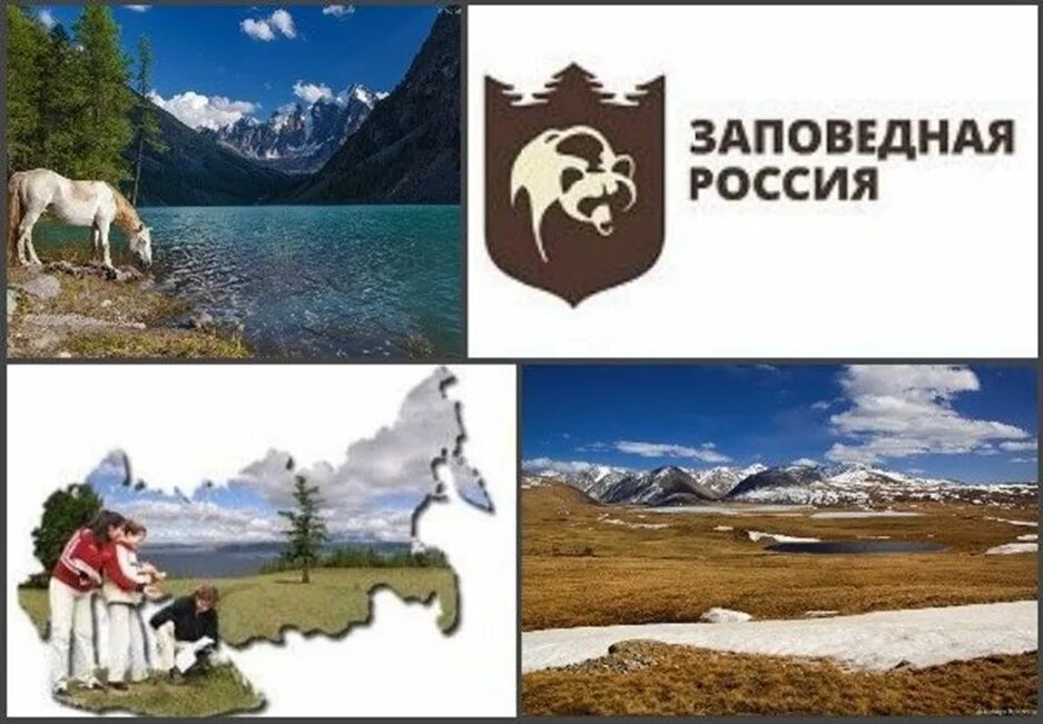 День заповедников и нац парков. День заповедников и национальных парков 2021. Мероприятия про заповедники. Всероссийский день заповедников и национальных парков. 11 января день заповедников и национальных парков.
