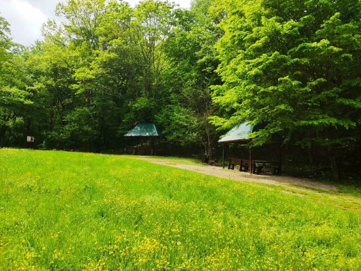 Царина поляна горячий ключ. Очаровательная поляна горячий ключ. Очаровательная полянка горячий ключ. Пансионат очаровательная полянка горячий ключ. Очаровательная полянка горячий ключ.