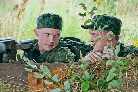Проект путевка в жизнь