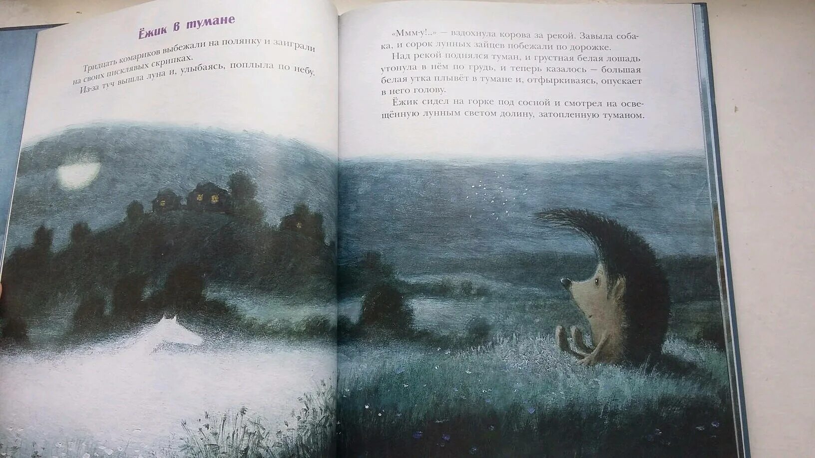 Туман бузулук. Козлов Ежик в тумане книга.