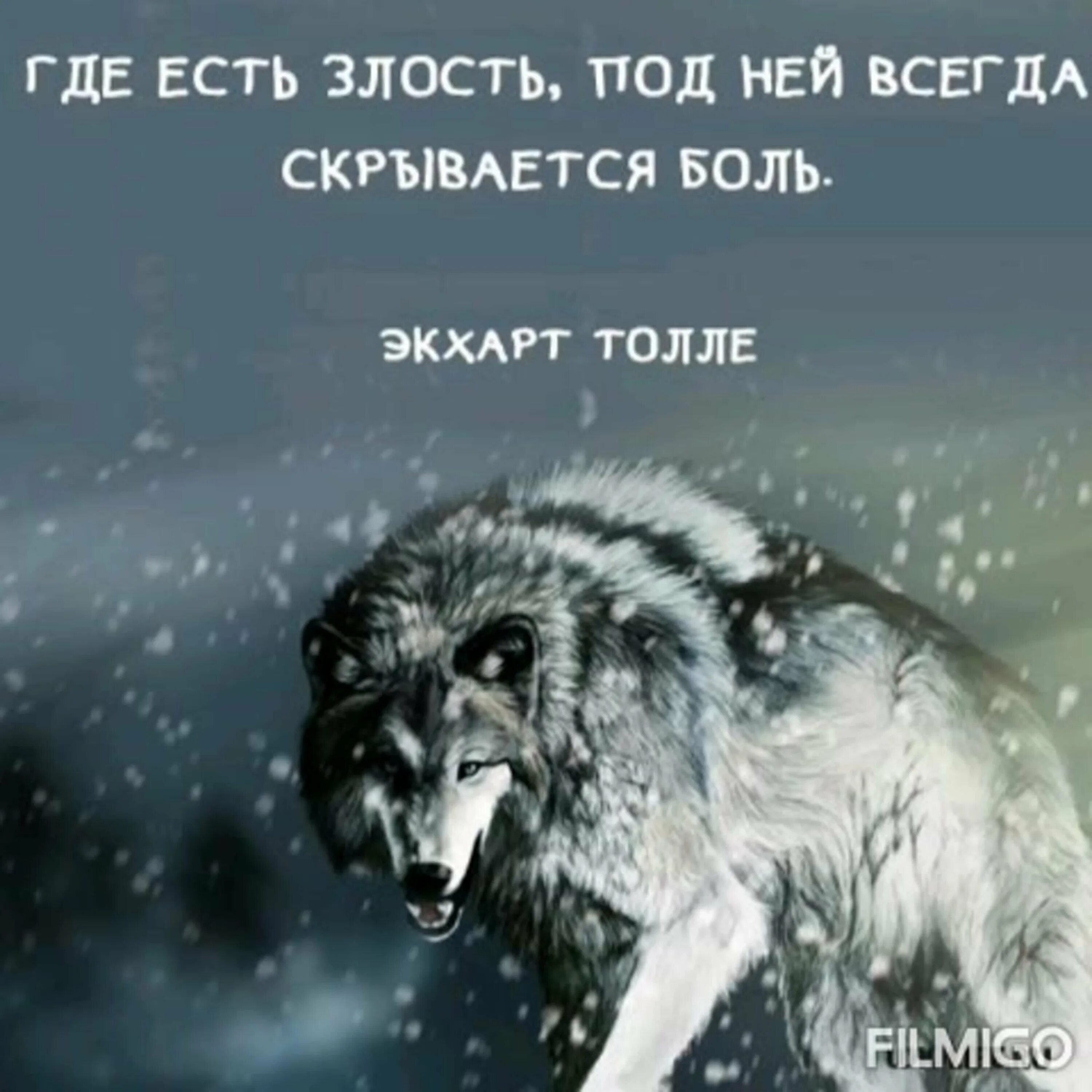 Нельзя злиться на людей. Злюсь но люблю. Злиться всегда. Цитаты волка. Джордж оруэлл высказывания.