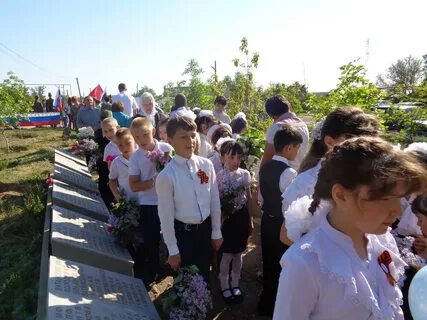 Погода в полого займище