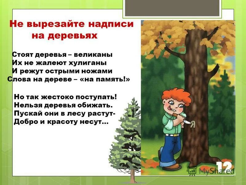надпись на стволе дерева. табличка на туалет прикольная. купание запрещено табличка. знак писающий мальчик. что нельзя удалять из текста при сжатии.