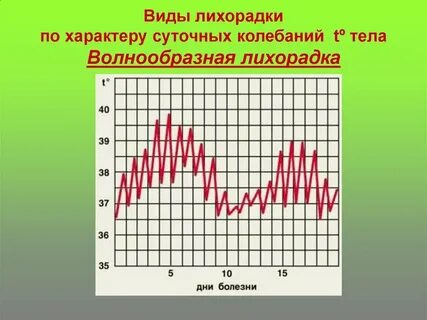При круглосуточном режиме работы организации термометрии проводится