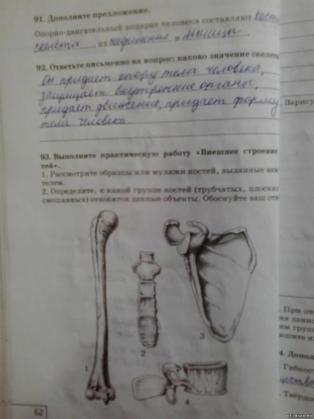 Биология 8 класс агафонова. Гдз по биологии 8 класс рабочая тетрадь Сонин. Биология 8 класс проверочная тетрадь. Биология 8 класс рабочая тетрадь Сонин Сапин стр. Биология 8 класс Сонин номер 217 рабочая тетрадь.