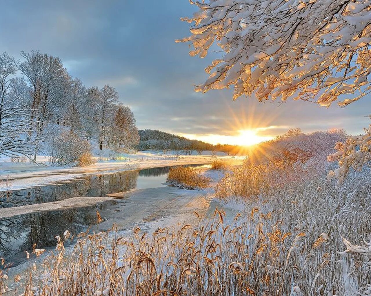 Доброго дня природа зима. Февральский пейзаж. морозное утро. утро зима. снег и солнце.