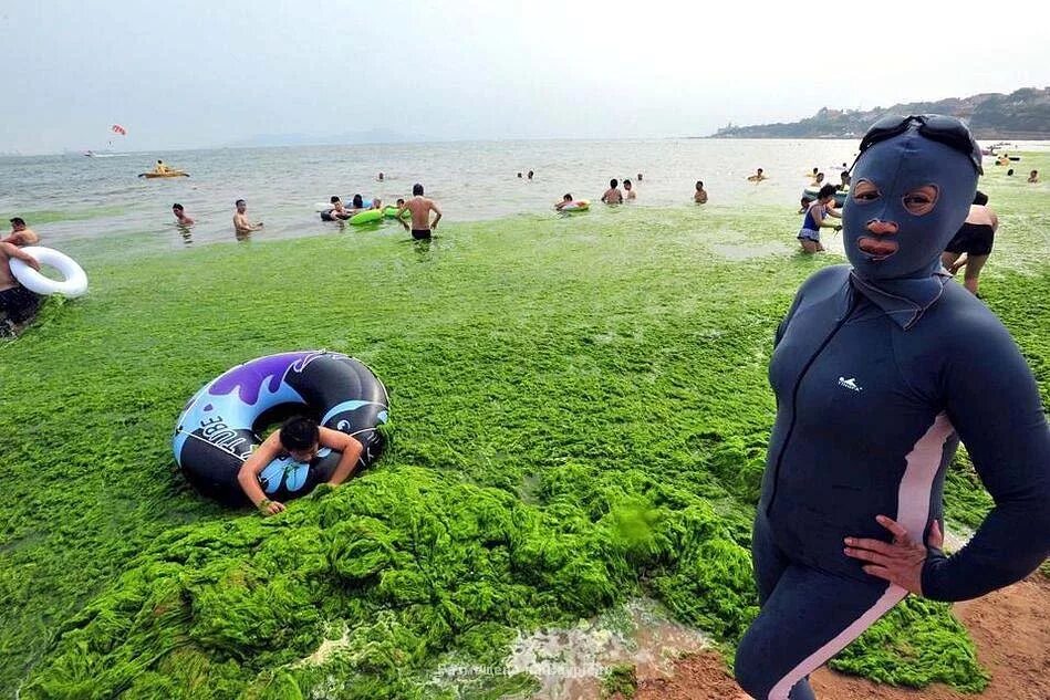 Жёлтое море можно ли купаться. Желтое море китай отдых. Желтое море циндао. Желтое море пляж. Море в китае.