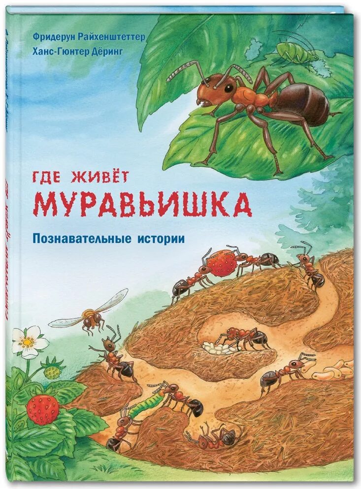 Книги познавательные рассказы. Книга про муравьев. Книги про муравьев для детей. Книги о муравьях для детей. Книга про муравьёв для детей.