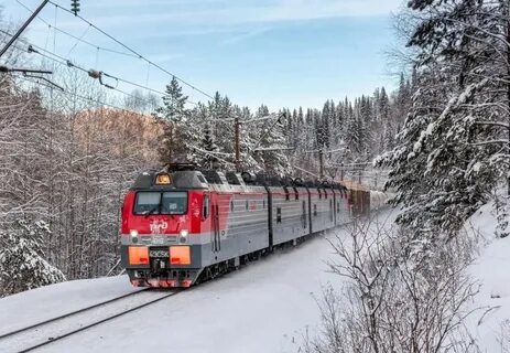 Train will