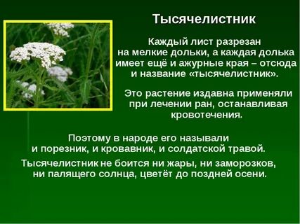 Травы объяснение