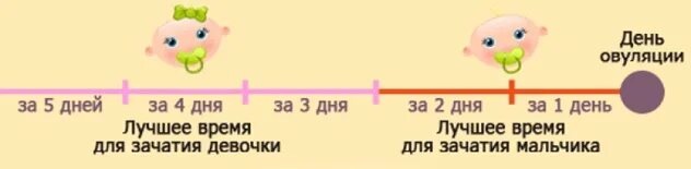 Забеременеть девочкой по овуляции. Пол ребенка по дням овуляции. пол ребенка по эовуляции. планирование беременности пола ребенка по овуляции. пол ребенка по овуляции и дню зачатия.