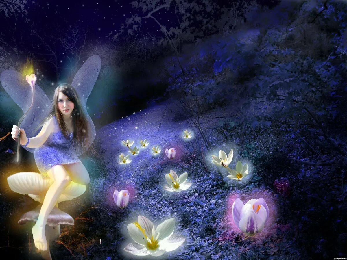 весенняя ночь. сияющих снов. открытки спокойной ночи. ночь весна. волшебные феи.