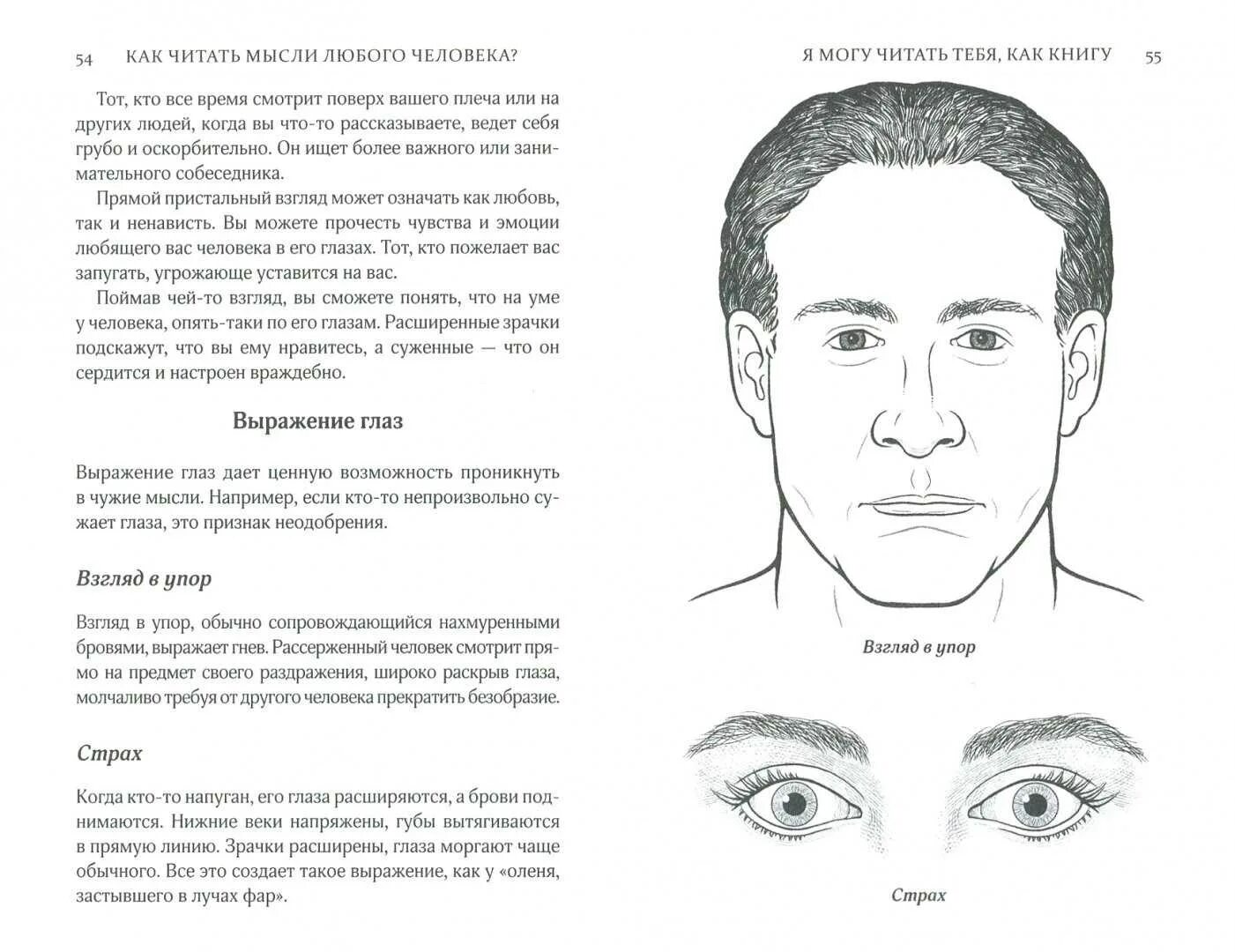 Психология глаз человека. Посадка глаз физиогномика. Определение характера по чертам лица. Физиогномика человека. Черты лица человека.