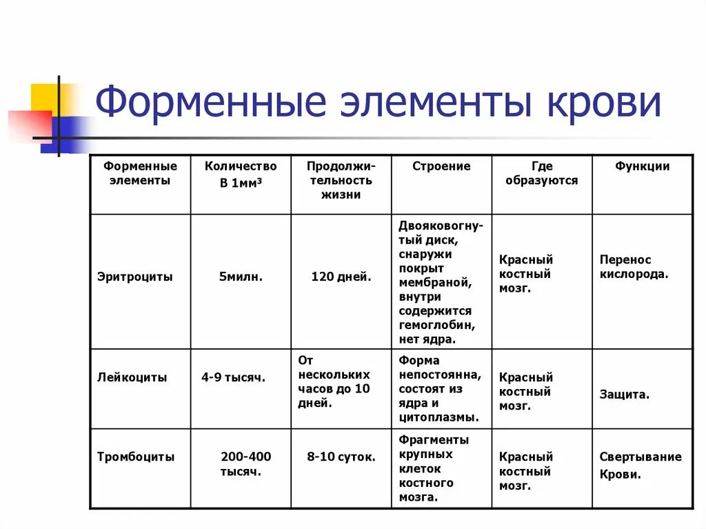 Перечислите форменные элементы крови, их Назначение.. Строение форменных элементов крови. Функции всех форменных элементов крови. Процентное содержание форменных элементов.