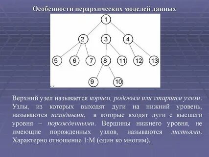 Иерархия особенностей