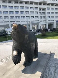 Екатеринбург архангельск