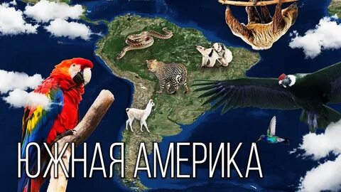Планета Земля 3 сезон 35 серия - Материк Южная Америка: Самый удивительный конти