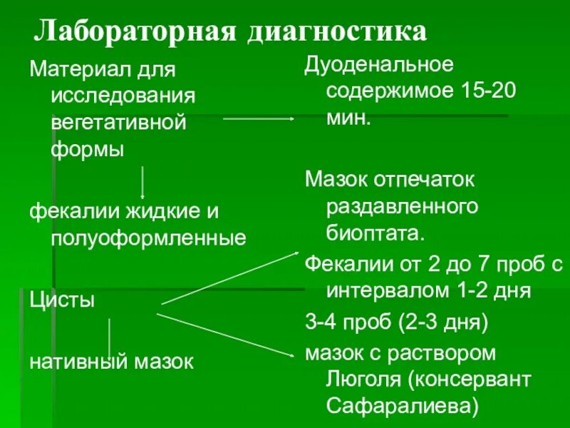 5 форм вегетативного. Материал для обнаружения вегетативных форм лямблий. Обнаружены вегетативные формы. Диагностические признаки вегетативной формы лямблии. Обнаружение цист и вегетативных форм в дуоденальном.