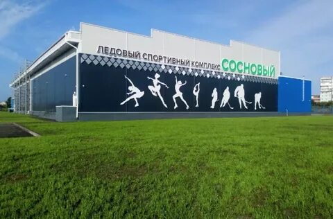 Ледовая арена лесной