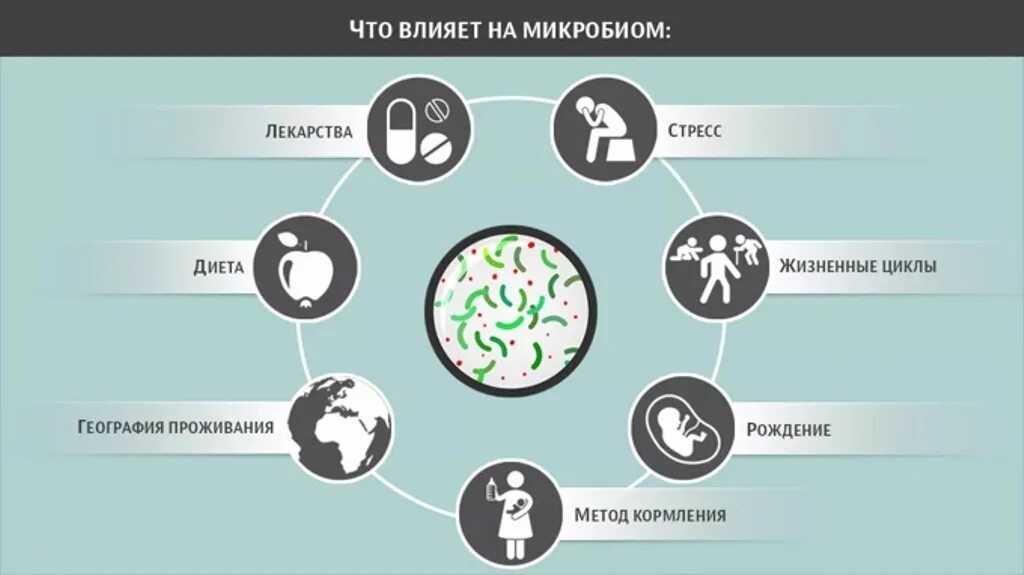 Микробиом это. Микробиом человека. влияние микробов на организм человека. влияние микроорганизмов на организм человека. влияние бактерий на человека.