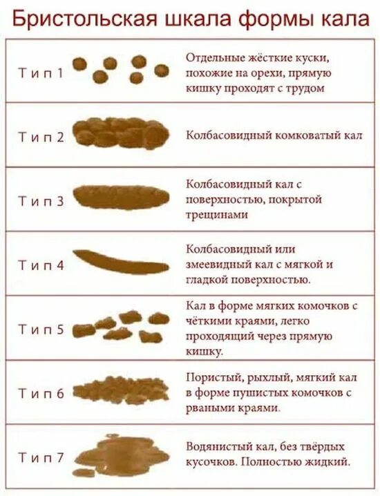 Причины темно зеленого кала у взрослого человека. Нормальный кал у детей до года. Типы стула фекалий. Разновидности цвета кала. Нормальный кал у человека.