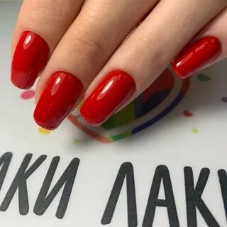 Лаки лаки владивосток