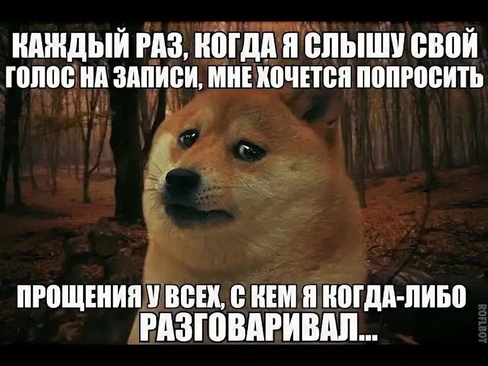 Как то не слышала