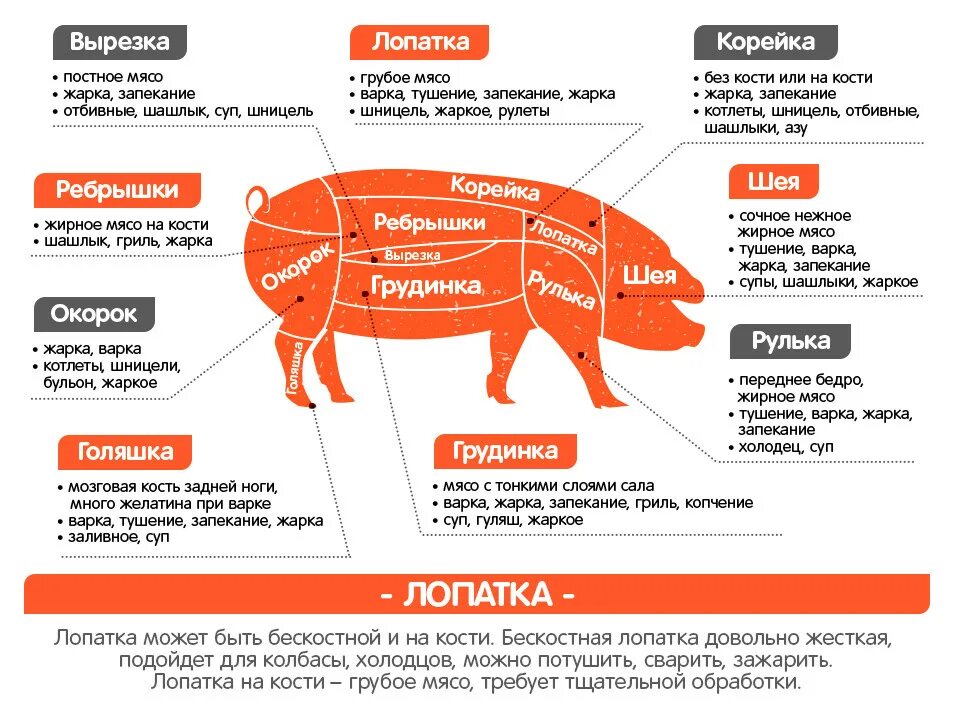 Какая свинина самая мягкая
